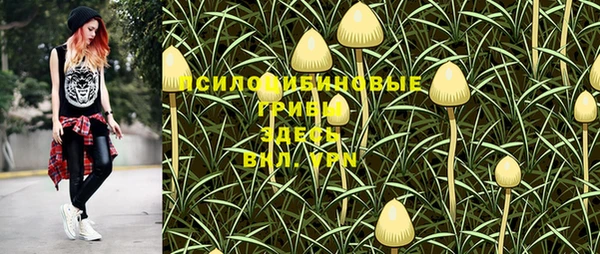 ГАЛЛЮЦИНОГЕННЫЕ ГРИБЫ Ступино