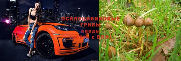 мяу мяу мука Строитель