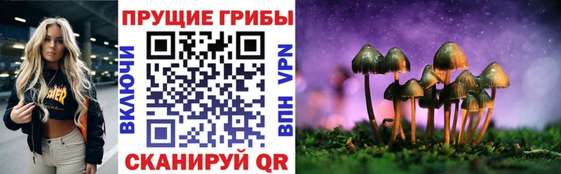 Галлюциногенные грибы ЛСД  Кизляр 